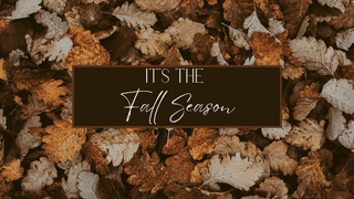 3 Biggest Streetwear Trends of Fall 2024 - Featured Image with Shaded leave on the ground and an text overlay saying "it's the fall season"