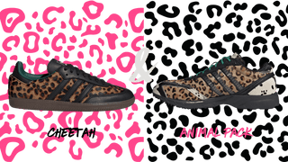 Adidas Cheetah & Animal Pack Sneaker on a Cheetah Print Background - Featured Image