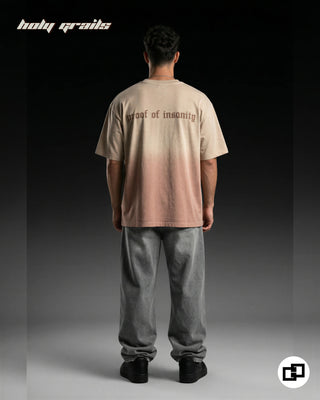 Men in Street Style 'Proof of Insanity' Ombre Wash 100% Cotton 240 GSM Oversize Tee HG x Grey Hound - Back Full