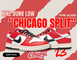 Nike Dunk Low Chicago Split Sneakers Desktop Banner