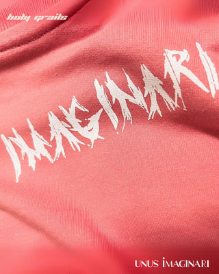 Streetwear Style 'CrAcked UnUs' Pink Peach 240 GSM 100% Cotton Oversize Graphic Tee HG x Unus Imaginari - Back Print Close Up